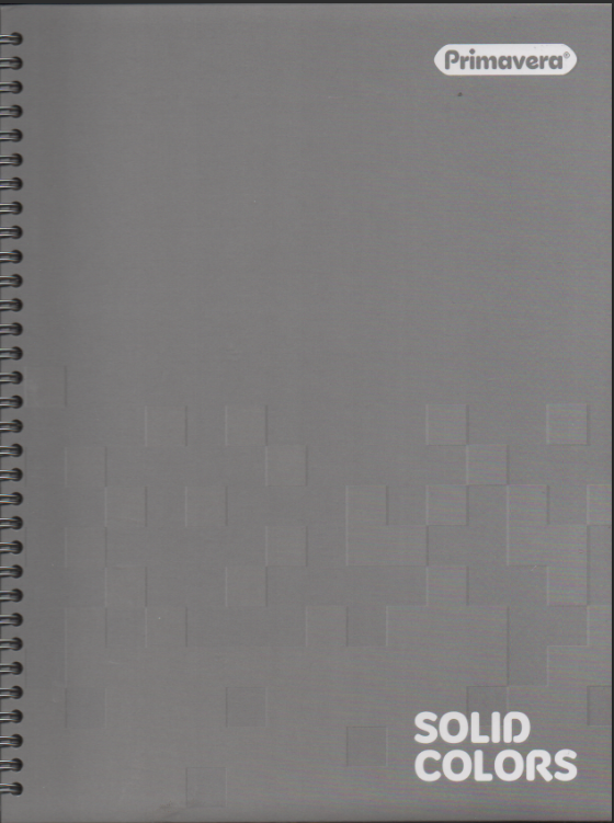 Cuaderno argollado grande 105 cuadriculado pasta dura Solid Gris