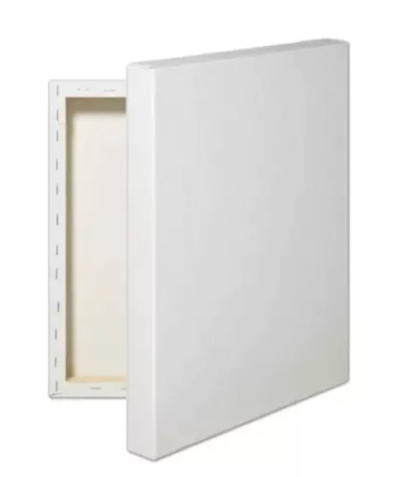 Lienzo con bastidor de 20*25