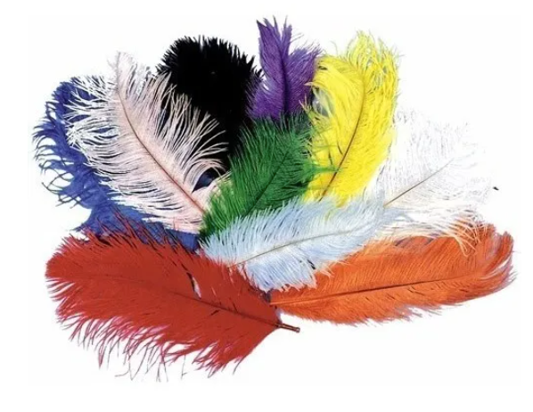 Plumas surtidas
