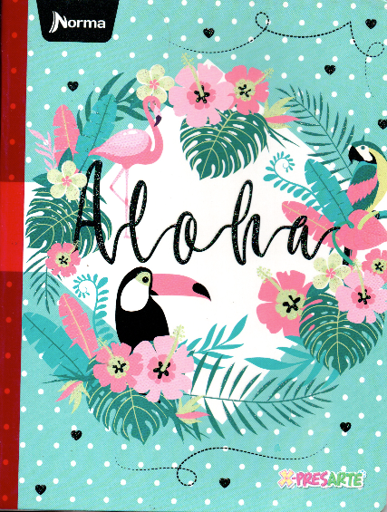 Cuaderno niña ferrocarril 50 hojas ALOHA