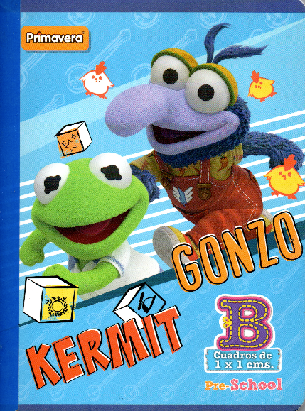 Cuaderno niña cuadritos tipo b 100 hojas GONZO