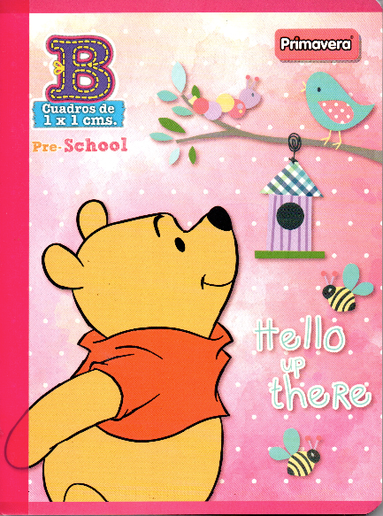 Cuaderno niña cuadritos tipo b 100 hojas HELLO UP THERE