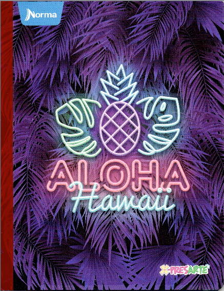 Cuaderno niña ferrocarril 50 hojas ALOHA