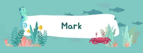 Etiqueta Adhesiva premium para utiles escolares x 120 unidades de 4 x1,5 cm