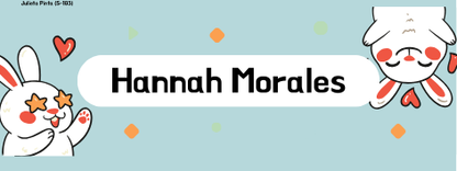 Etiqueta termoadhesiva para ropa x 50 unidades 5 x2,5 cm -