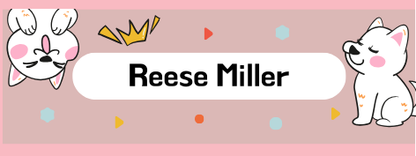 Etiqueta Adhesiva premium para utiles escolares x 120 unidades de 4 x1,5 cm