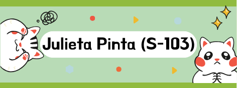 Etiqueta termoadhesiva para ropa x 50 unidades 5 x2,5 cm -