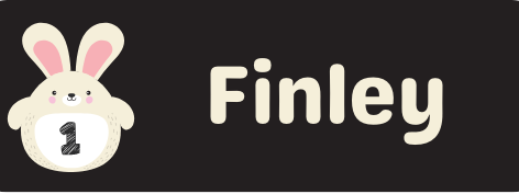 Etiqueta Adhesiva premium para utiles escolares x 120 unidades de 4 x1,5 cm