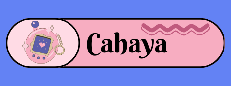 Etiqueta termoadhesiva para ropa x 50 unidades 5 x2,5 cm -