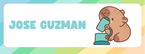 Etiqueta termoadhesiva para ropa x 50 unidades 5 x2,5 cm -