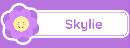 Etiqueta Adhesiva premium para utiles escolares x 120 unidades de 4 x1,5 cm