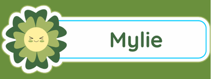 Etiqueta termoadhesiva para ropa x 50 unidades 5 x2,5 cm -