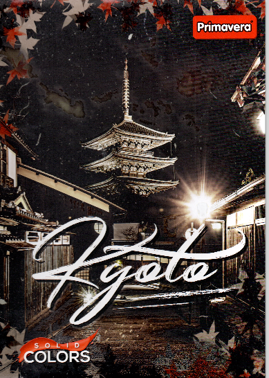 Cuaderno argollado grande 105 masculino cuadriculado pasta dura 100 Kyoto