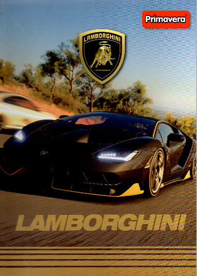 Cuaderno argollado grande 105 masculino cuadriculado pasta dura 100 Lamborghini