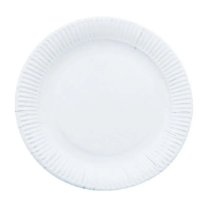 Paquete plato desechable ecológico