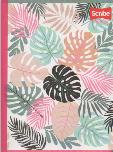 Cuaderno cosido ferrocarril niña x 100 hojas Hojas