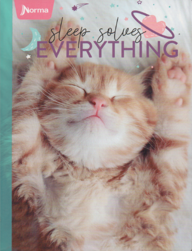 Cuaderno cosido rayado niña x 100 hojas Sleep solves everything