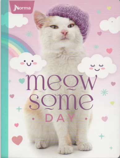 Cuaderno cosido rayado niña x 100 hojas Meow some day