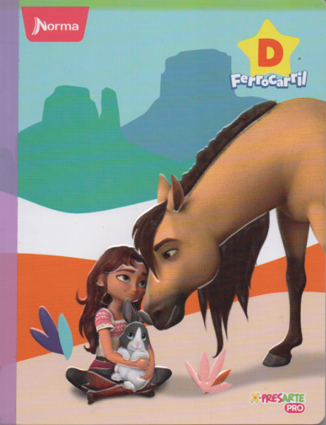 Cuaderno Ferrocarril tipo D 100 hojas Spirit