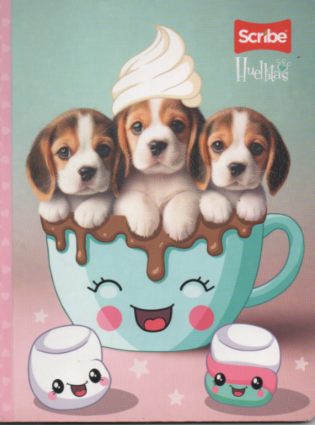 Cuaderno cosido ferrocarril niña x 50 hojas Huellitas