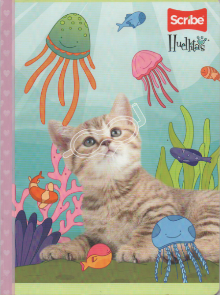 Cuaderno cosido ferrocarril niña x 50 hojas Huellitas