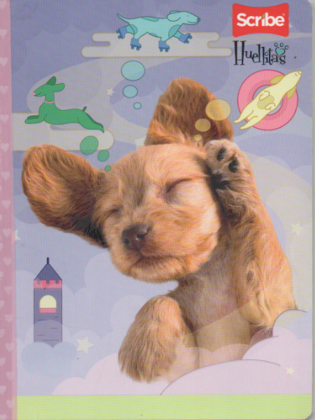 Cuaderno cosido ferrocarril niña x 50 hojas Huellitas