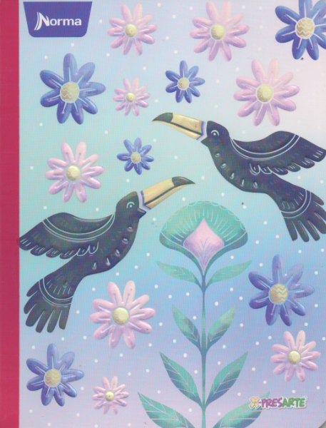 Cuaderno cosido ferrocarril niña x 50 hojas Pájaros