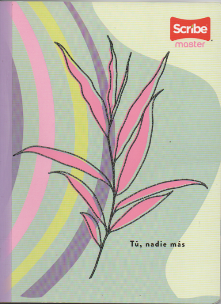 Cuaderno cosido ferrocarril niña x 50 hojas Tu, nadie mas