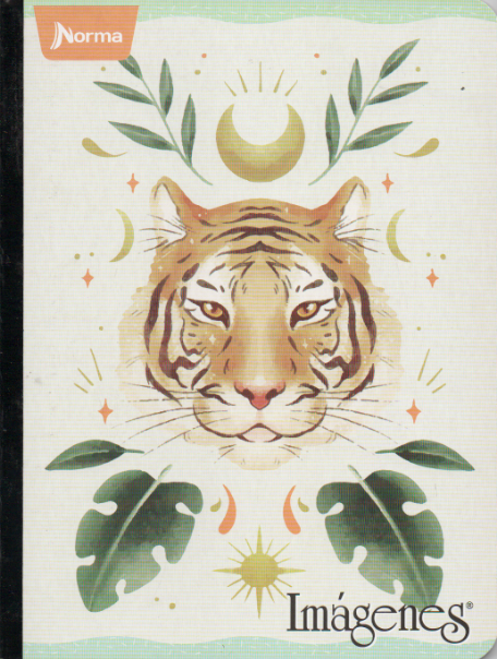 Cuaderno cosido ferrocarril niña x 50 hojas económico Tigre