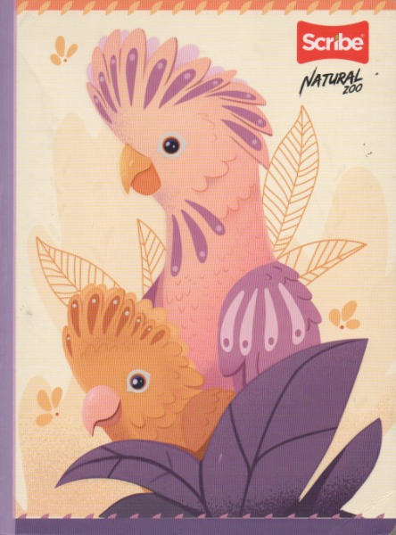 Cuaderno cosido cuadriculado niña x 100 hojas Natural zoo Pajaros