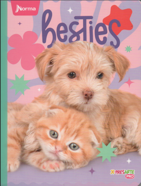Cuaderno cosido cuadriculado niña x 100 hojas Gabby Besties