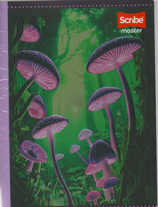 Cuaderno cosido cuadriculado niña x 50 Valle de champiñones