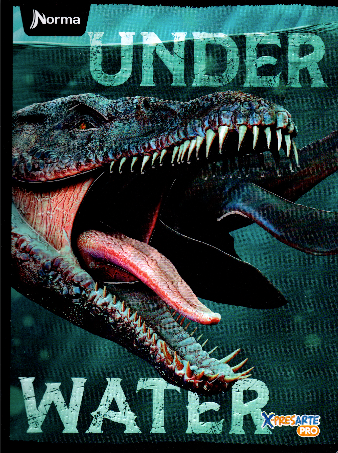 Cuaderno cuadriculado niño 100 hojas Under Water