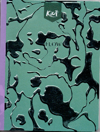 Cuaderno niña ferrocarril 100 hojas Flow