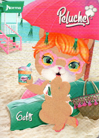 Cuaderno niña cuadriculado 100 hojas PELUCHES GATIS PLAYA