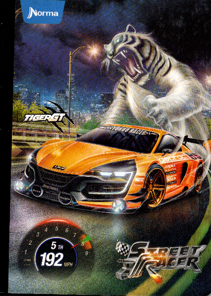 Cuaderno niño ferrocarril 50 hojas STREET RACER TIGRE