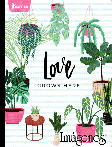 Cuaderno niña cuadriculados 50 hojas LOVE GROWS HERE
