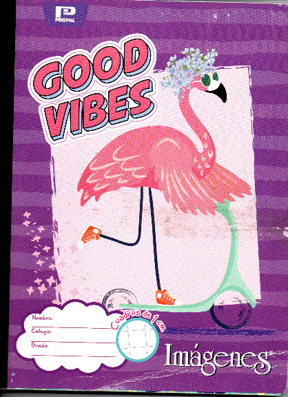 Cuaderno niña cuadritos tipo b 100 hojas FLAMINGO