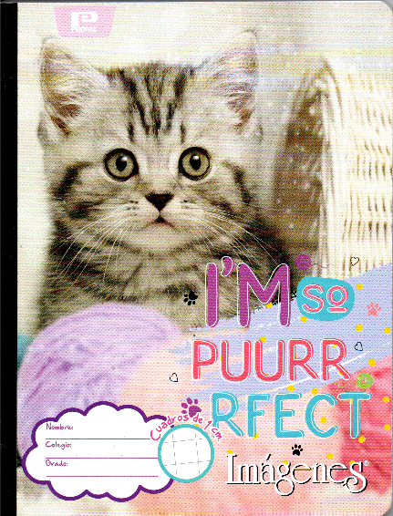 Cuaderno niña cuadritos tipo b 100 hojas GATO