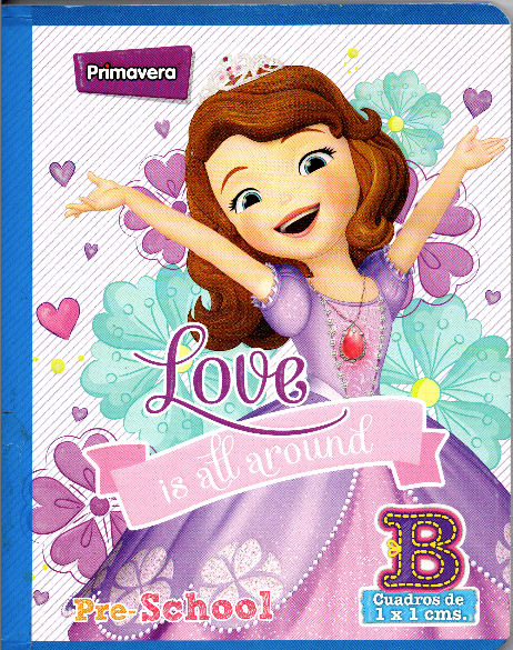 Cuaderno niña cuadritos tiop b 100 hojas PRINCESA SOFIA