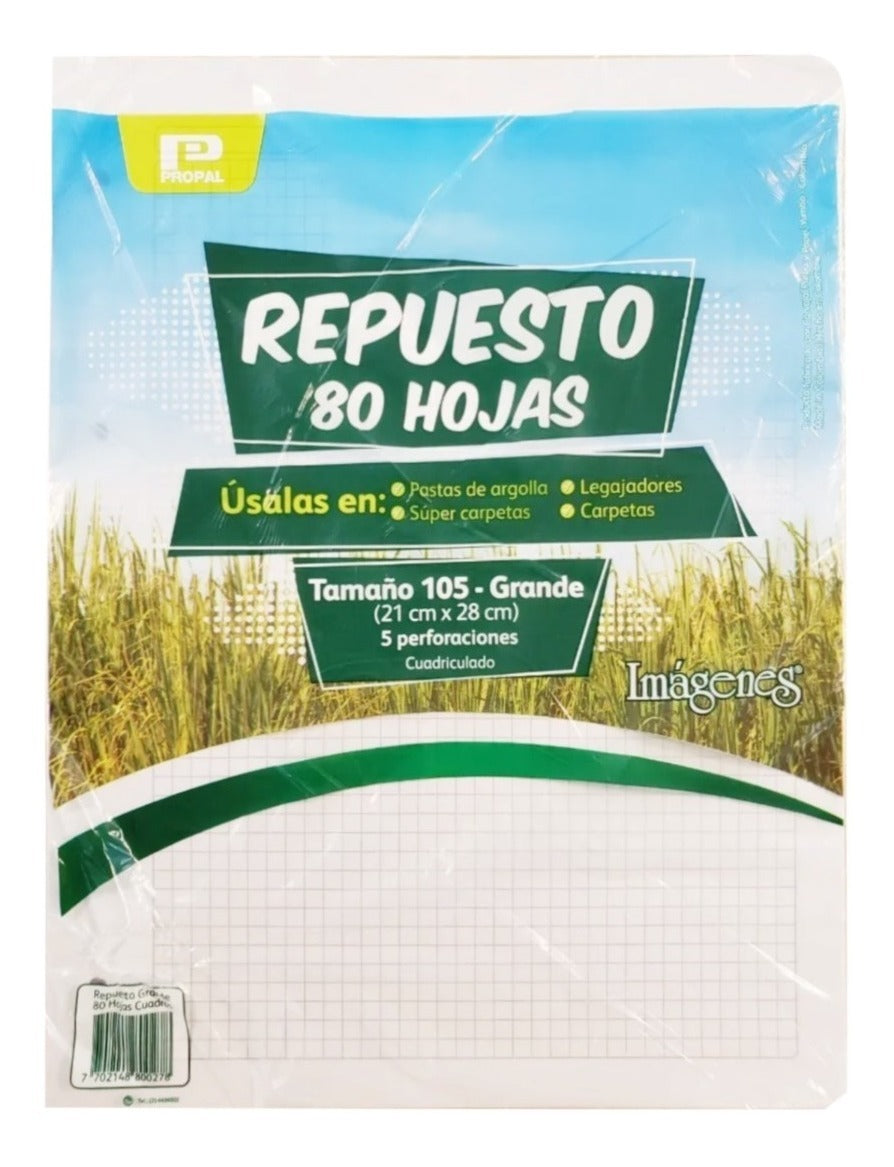 Repuesto Argolla 105 x80 Hojas